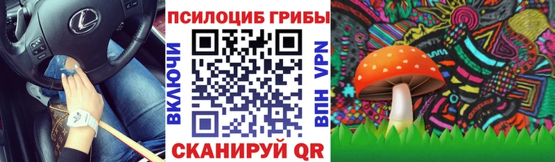 Купить закладки  Ленск  Галлюциногенные грибы ЛСД 